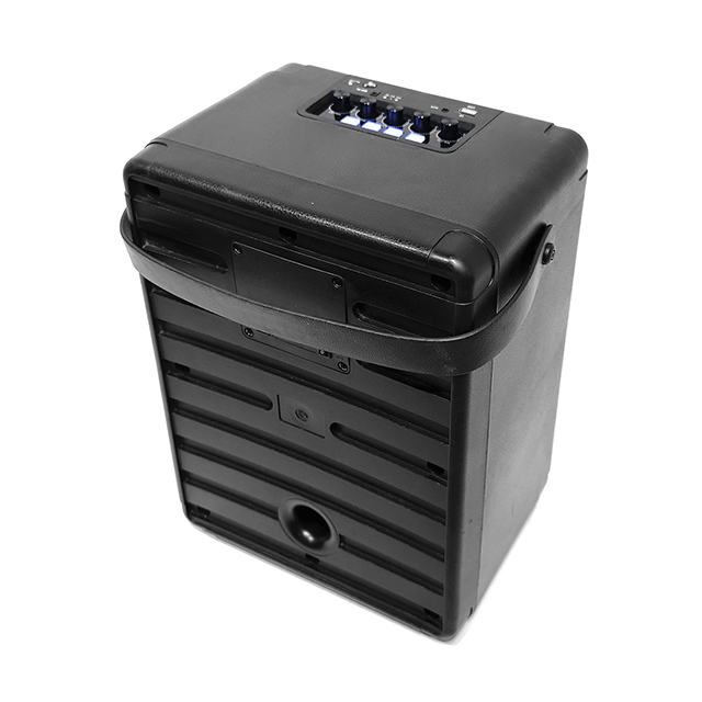 Altavoz recargable Bluetooth portátil de 8 pulgadas Easy-Carry