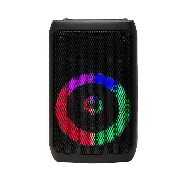 Altavoz recargable Bluetooth de 8 pulgadas con luz intermitente RGB