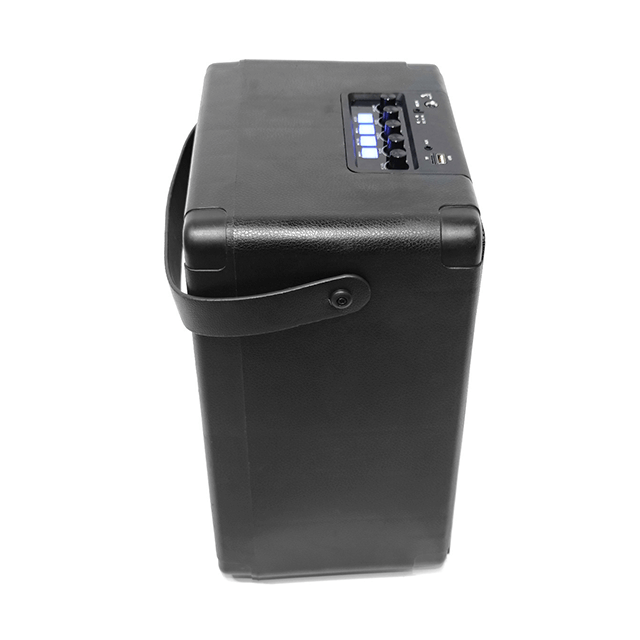 Altavoz recargable Bluetooth portátil de 8 pulgadas Easy-Carry