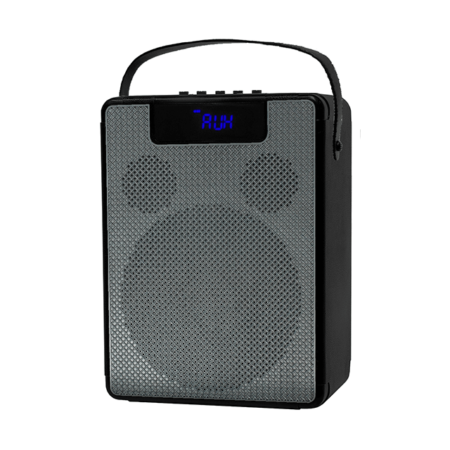 Altavoz recargable Bluetooth portátil de 8 pulgadas Easy-Carry