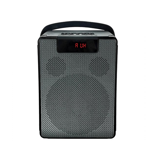 Altavoz recargable Bluetooth portátil de 8 pulgadas Easy-Carry