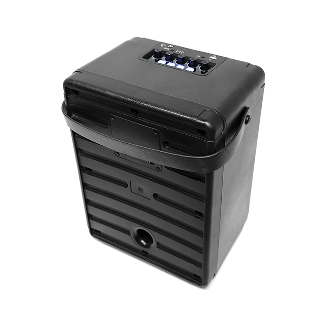 Altavoz recargable Bluetooth portátil de 8 pulgadas fácil de llevar con luces de anillo RGB 