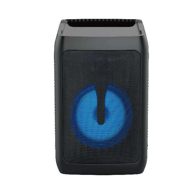 Altavoz recargable Bluetooth de 8 pulgadas con luz intermitente RGB