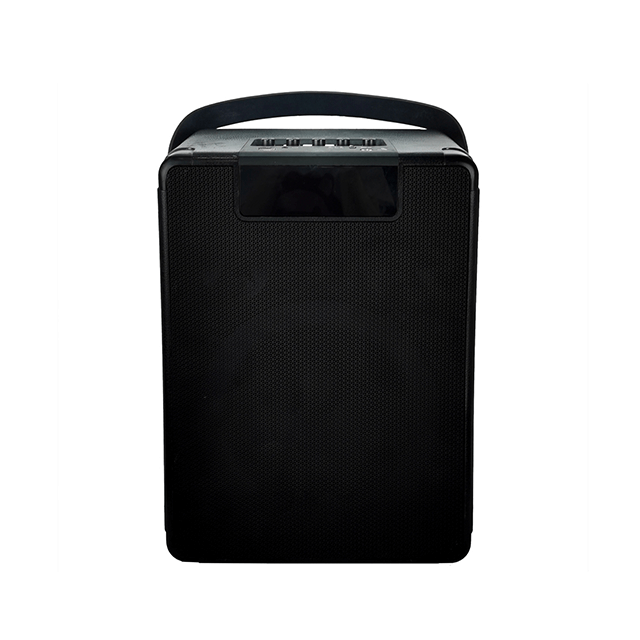 Altavoz recargable Bluetooth portátil de 8 pulgadas fácil de llevar con luces de anillo RGB 